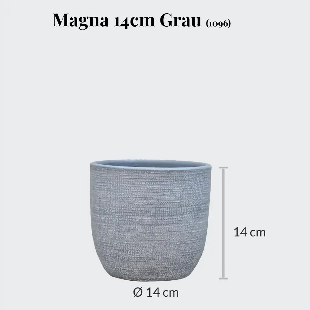 SPECIAL OFFER Magna 14cm