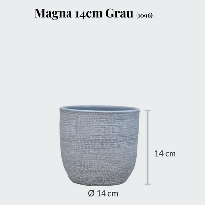 SPECIAL OFFER Magna 14cm
