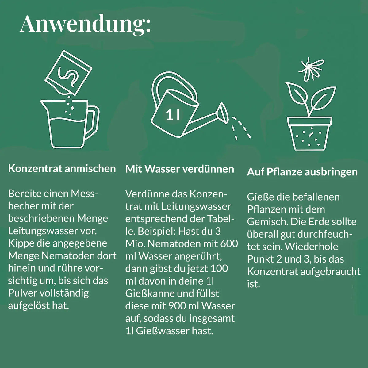SF Nematoden gegen Trauermücken
