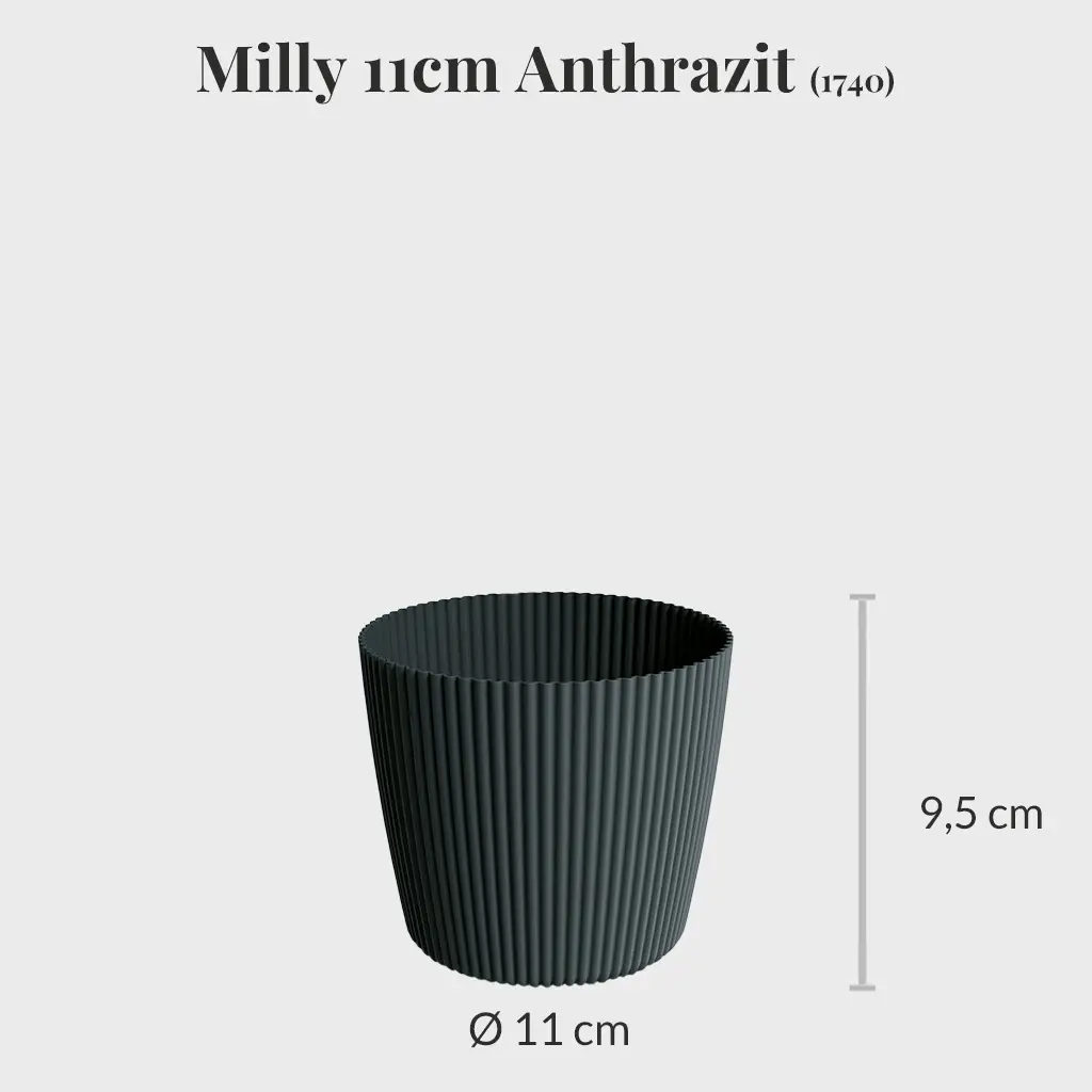 3er Set Milly 11cm