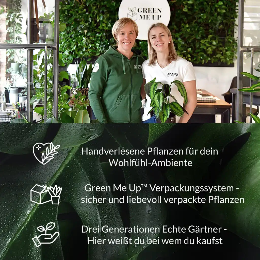Green Me Up Familienbetrieb mit besonderen Alleinstellungsmerkmalen
