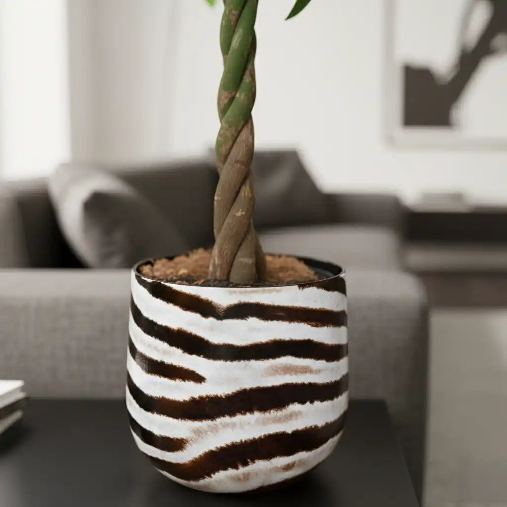 moderner Übertopf mit Zebra Print und geflochtener Glückskastanie für helle Räume