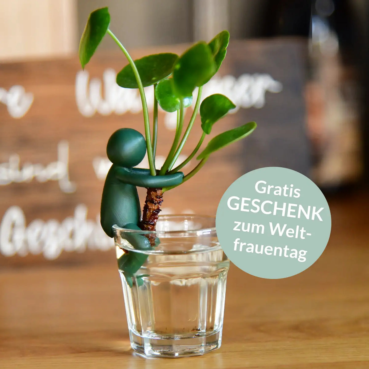 Green Me Up Buddy, eine Pflanzenstütze gratis zum Weltfrauentag