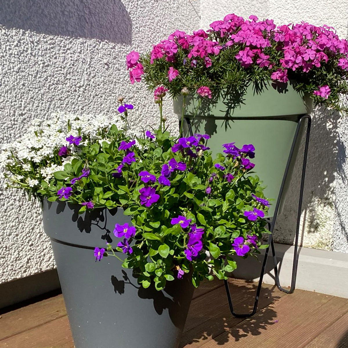 Elho Loft 30cm mit Erde 10L