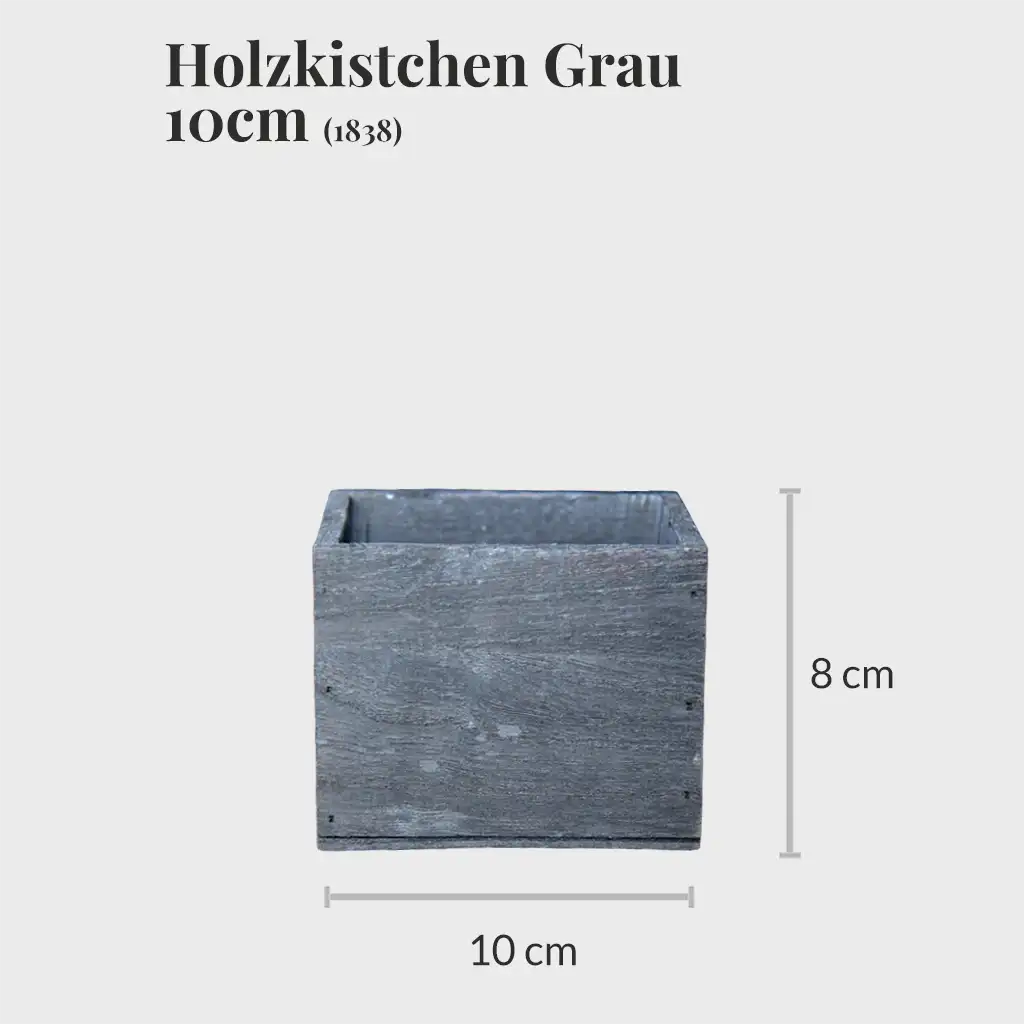 3er Set Holzkistchen 10cm