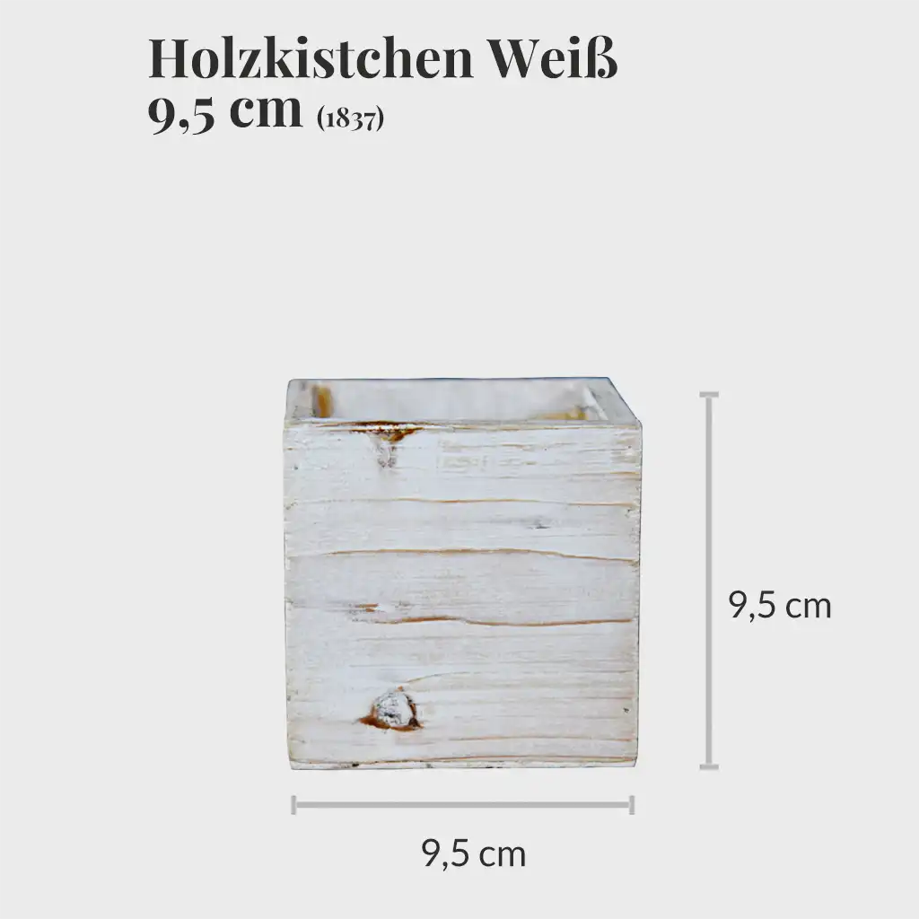 3er Set Holzkistchen 10cm