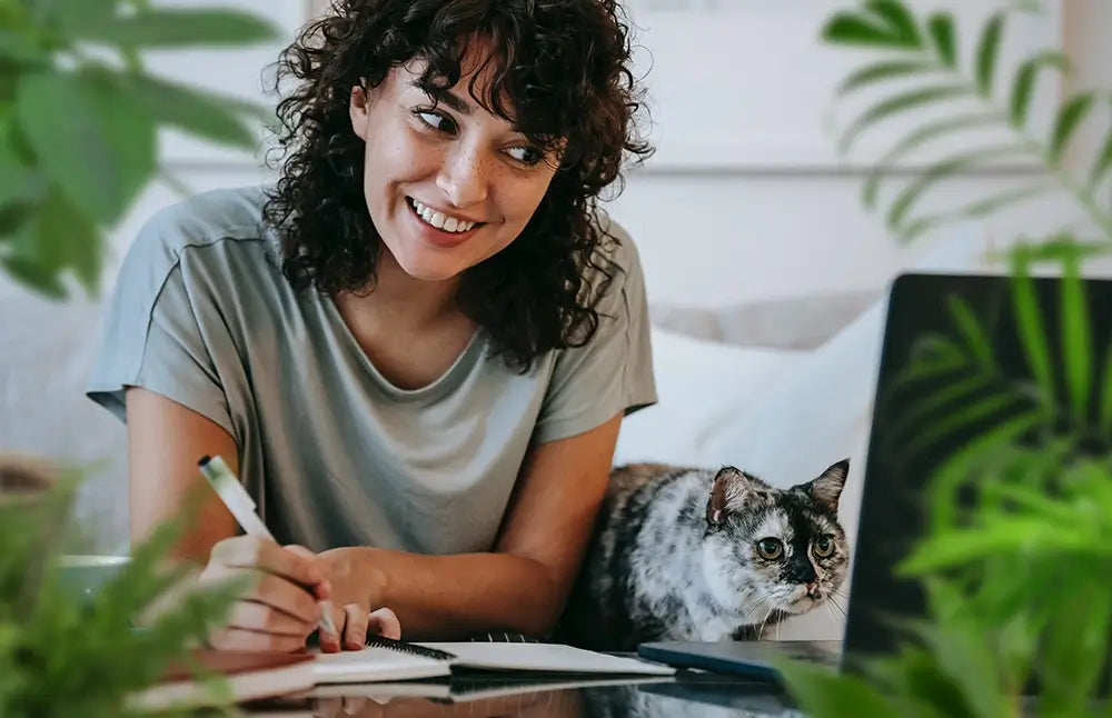 Katze sitzt im Büro mit am Laptop und es sind viele Pflanzen drumherum