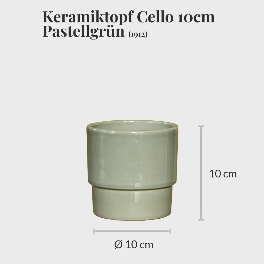 pastellgrüne Keramiktöpfe für Babypflanzen