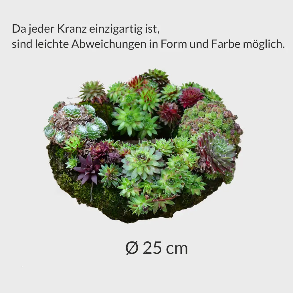 Langlebiger Grabschmuck Kranz Ø 25cm