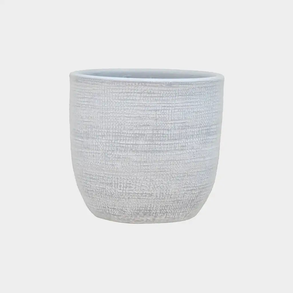 SPECIAL OFFER Magna 14cm