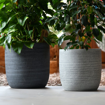 SPECIAL OFFER Magna 14cm