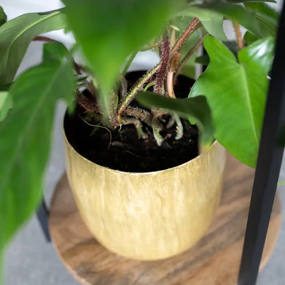 Metalltopf Babet 21cm