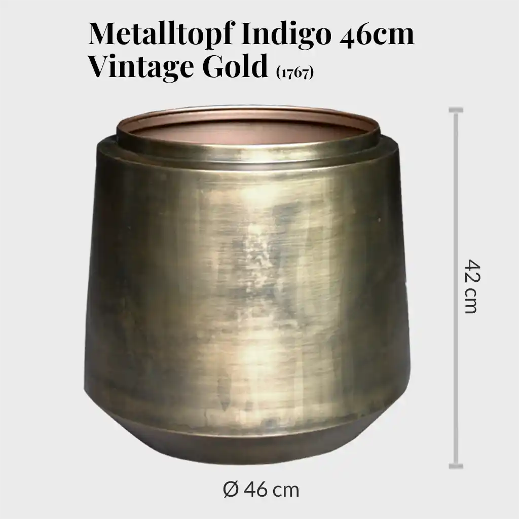 Palettenset Trendsetter-Indigo : 3XXL 3XL  Büropflanzen in Hydrokultur