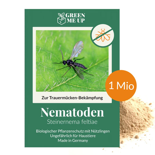 SF Nematoden gegen Trauermücken