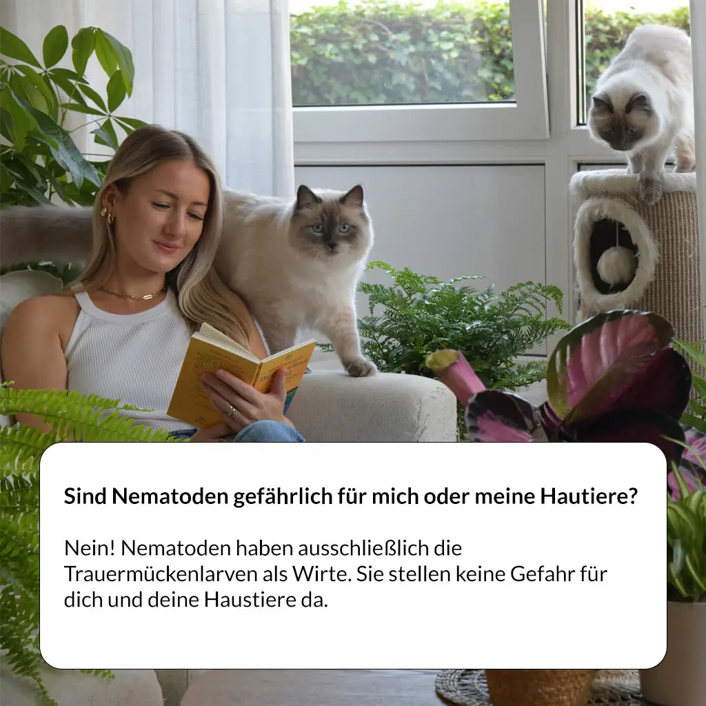 SF Nematoden gegen Trauermücken