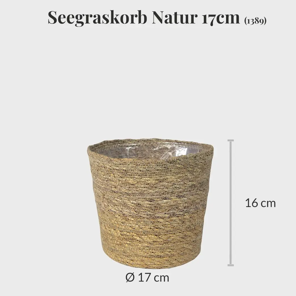 Seegraskorb Natur 17cm mit Hydroeinsatz
