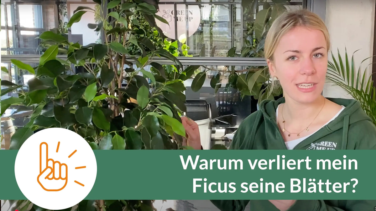 Video laden: 