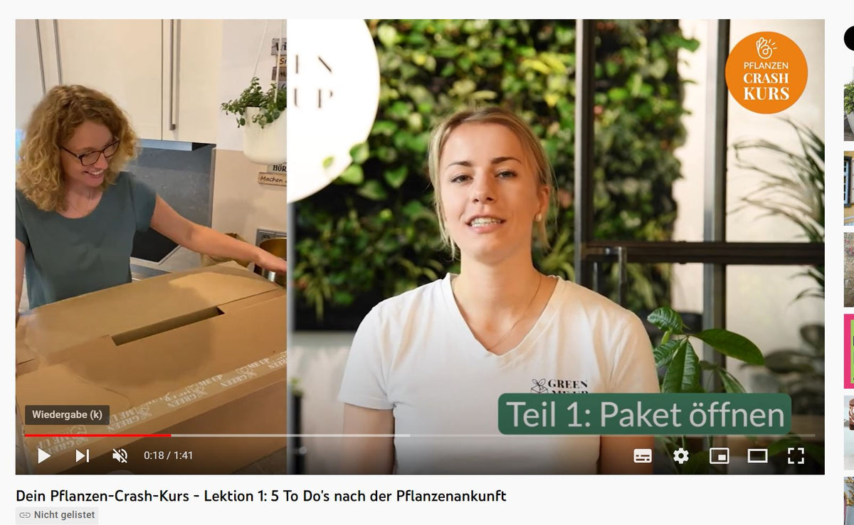 Pflanze-Crash-Kurs Lektion 2: Pflegekarten