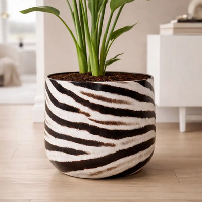 Animal Print Übertopf in Zebra Optik für moderne Räume [AI]