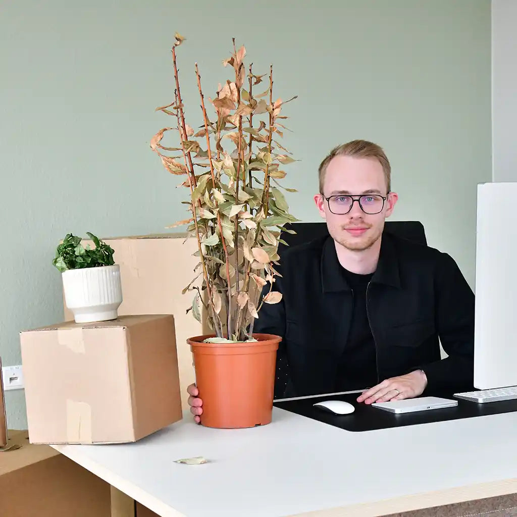 Enttäuschter Mann mit vertrockneter Pflanze 