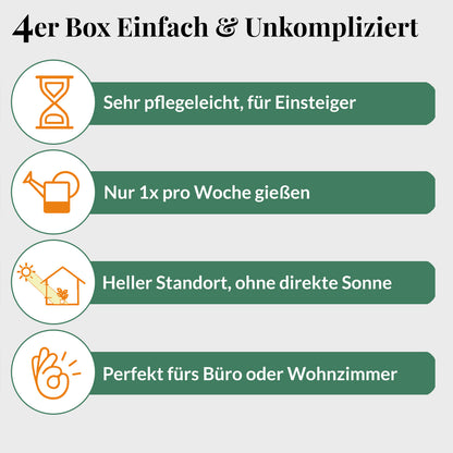 4er Box Einfach & Unkompliziert